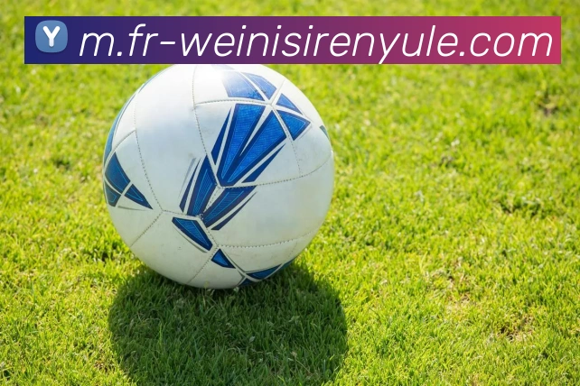 威尼斯人线上娱乐平台生态图